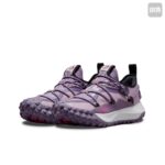 Nike Mens ACG Mountain Fly Low SE DQ1979 500 -