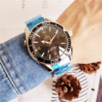 Omega Seamaster Planet Ocean 600M 43.5 mm Black Dial