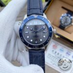 Omega Seamaster Diver 300M Grey Dial Men's Watch 210.32.42.20.06.001