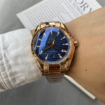New Omega Seamaster Aqua Terra 41mm Blue Gold Men's Watch 220.10.41.21.01.001 (Copy)